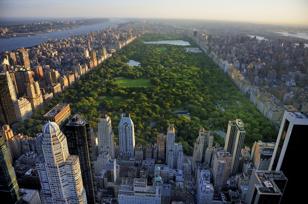 Prince Of Central Park Reading Quiz Quizizz