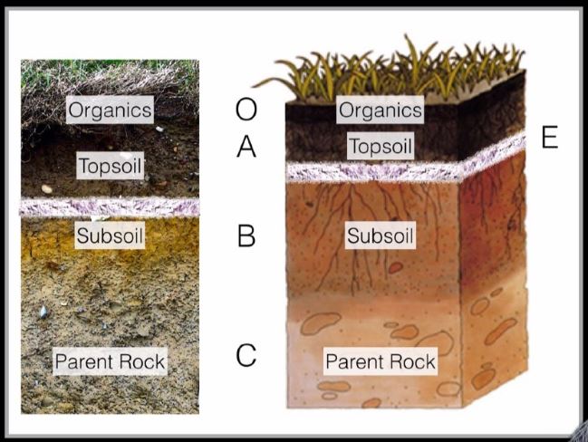 Soil And Soil Dynamics Version 2 Quiz - Quizizz