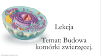 struktura komórki - Klasa 5 - Quiz