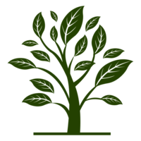 partes da planta e suas funções - Série 11 - Questionário