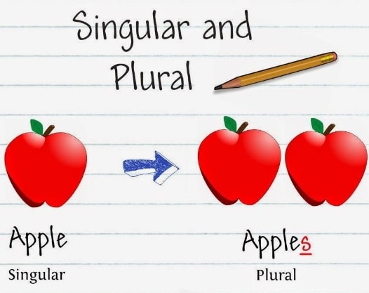 soal essay singular and plural noun