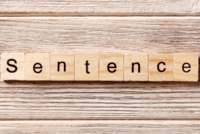 Types of Sentences Flashcards - Quizizz