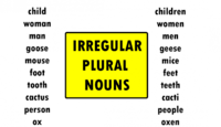 Plurals - Year 4 - Quizizz