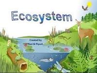 ecosystems - Class 5 - Quizizz