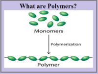 macromolecules - Class 8 - Quizizz