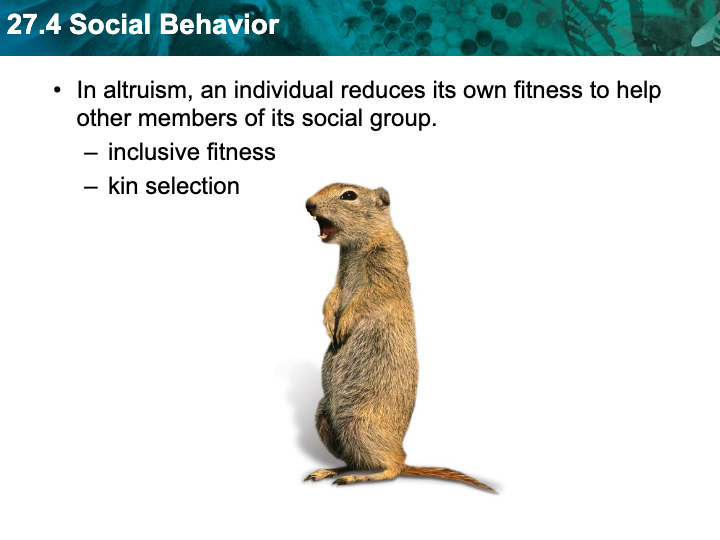 adaptive-value-of-behavior-biology-quizizz