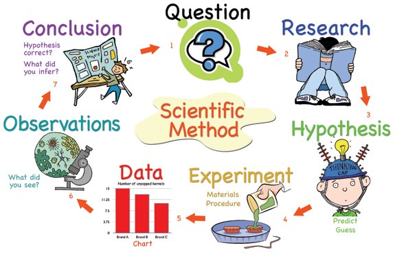 Scientific Method Vocabulary Review Quiz - Quizizz