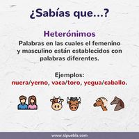 Decodificar palabras - Grado 3 - Quizizz