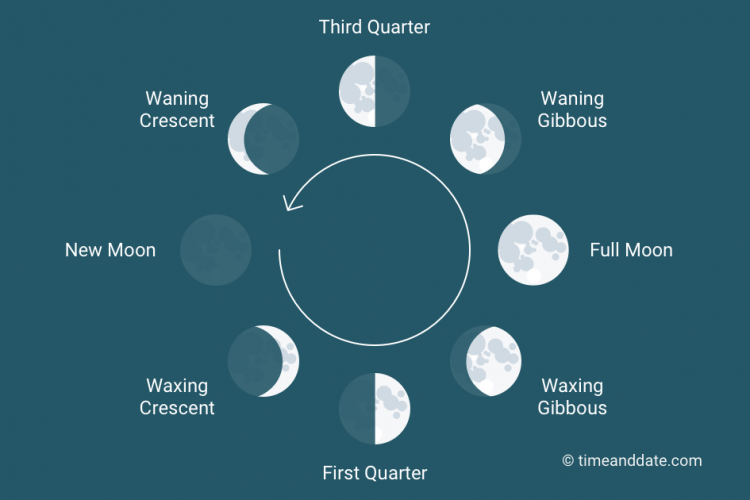 moon phase figure