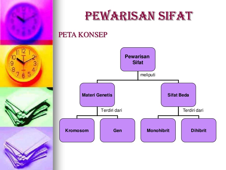 sifat-sifat yang diwariskan dan diperoleh - Kelas 9 - Kuis