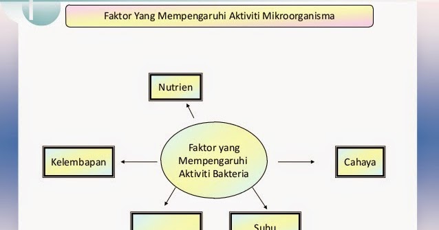 Mikroorganisma 1 1 Ii Science Quizizz