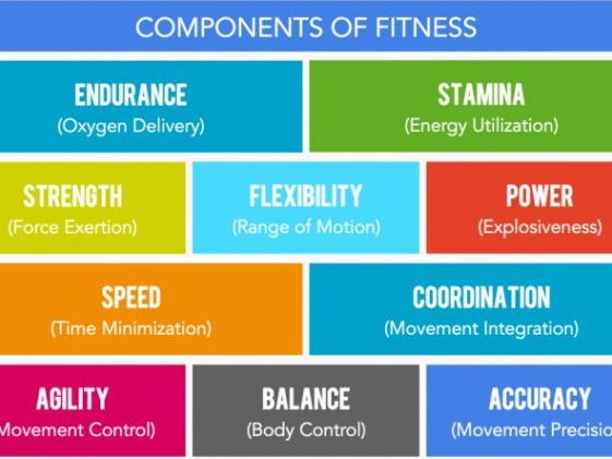 Components of Fitness, 404 plays