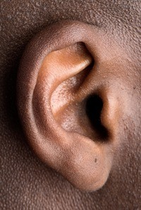 Hearing Digraphs - Year 8 - Quizizz