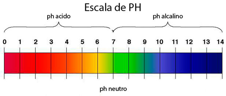 ácidos y bases Tarjetas didácticas - Quizizz