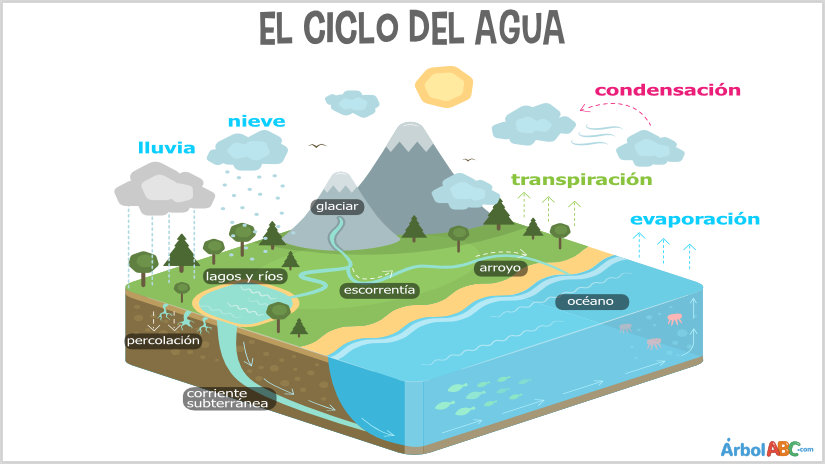 colisiones elásticas y conservación del momento - Grado 9 - Quizizz