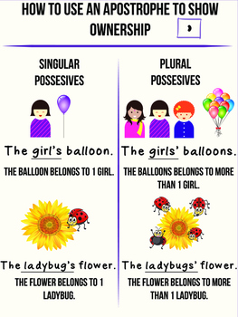 Singular Possessives - Grade 3 - Quizizz