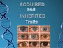 Inherited & Acquired Traits