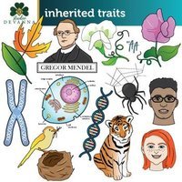 inherited and acquired traits - Grade 3 - Quizizz