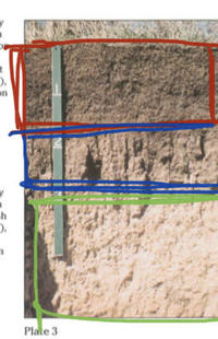 soils - Grade 12 - Quizizz