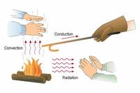 Soạn các hình dạng - Lớp 8 - Quizizz