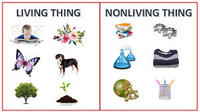 living and non living things - Year 6 - Quizizz