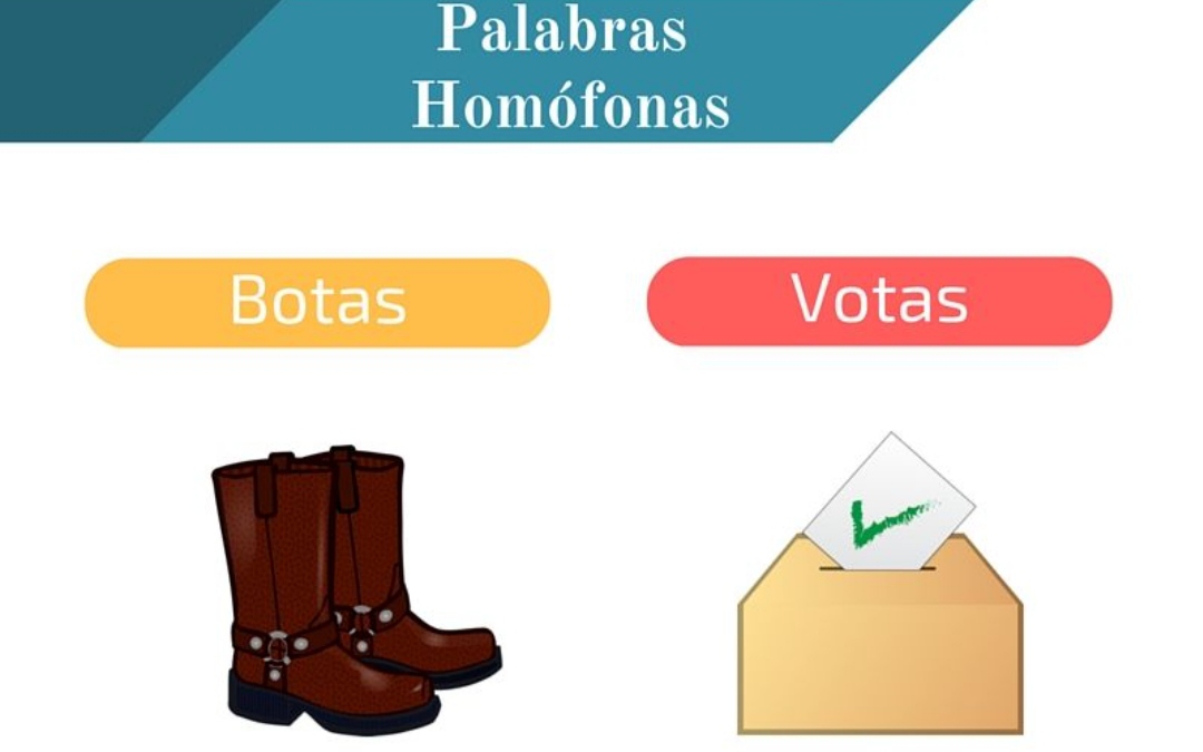 Homófonos y homógrafos Tarjetas didácticas - Quizizz