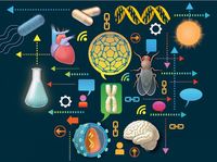 productores y consumidores - Grado 6 - Quizizz