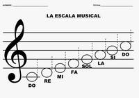 Teoria da música - Série 5 - Questionário