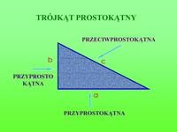 Trygonometria - Klasa 8 - Quiz