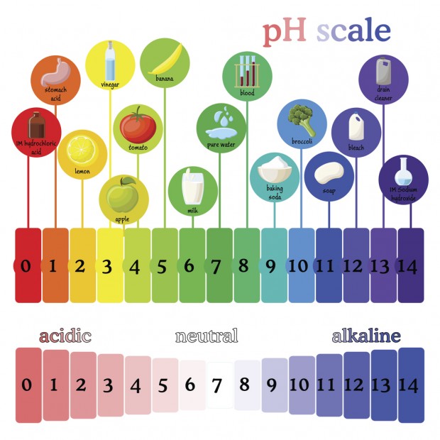 nilai-ph-dan-sifat-kimia-asid-dan-alkali-quizizz