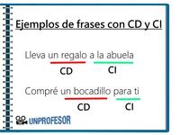 Comprimento e unidades métricas - Série 5 - Questionário