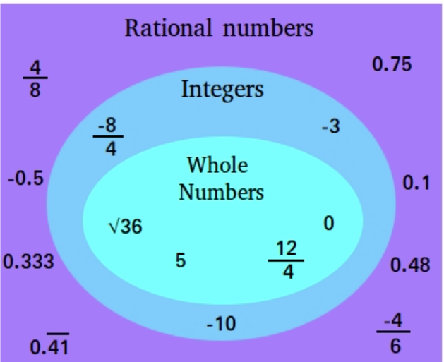 Rational Number Unit Review | Quizizz