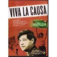 coisas vivas e não vivas - Série 8 - Questionário