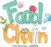 food chain - Class 3 - Quizizz