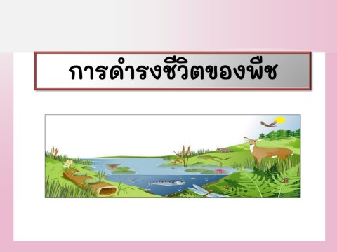 เนื้อเยื่อ - ระดับชั้น 7 - Quizizz