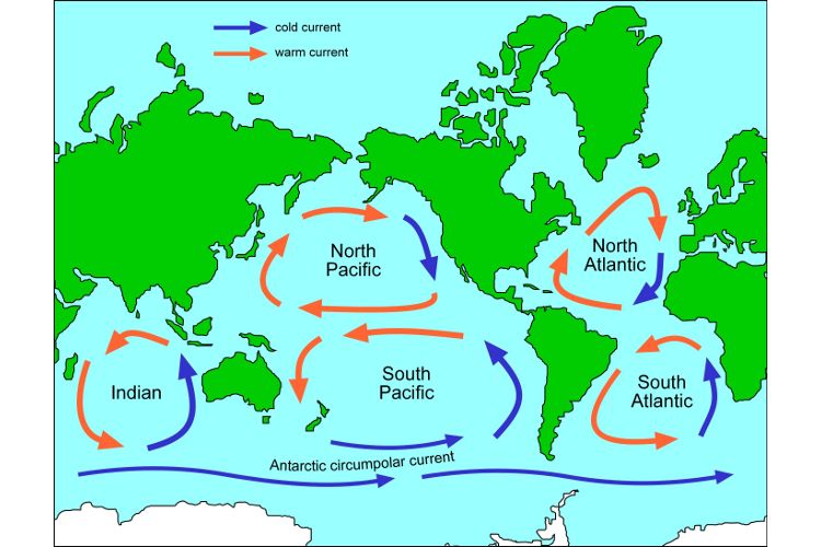 Ocean Currents Other Quiz Quizizz