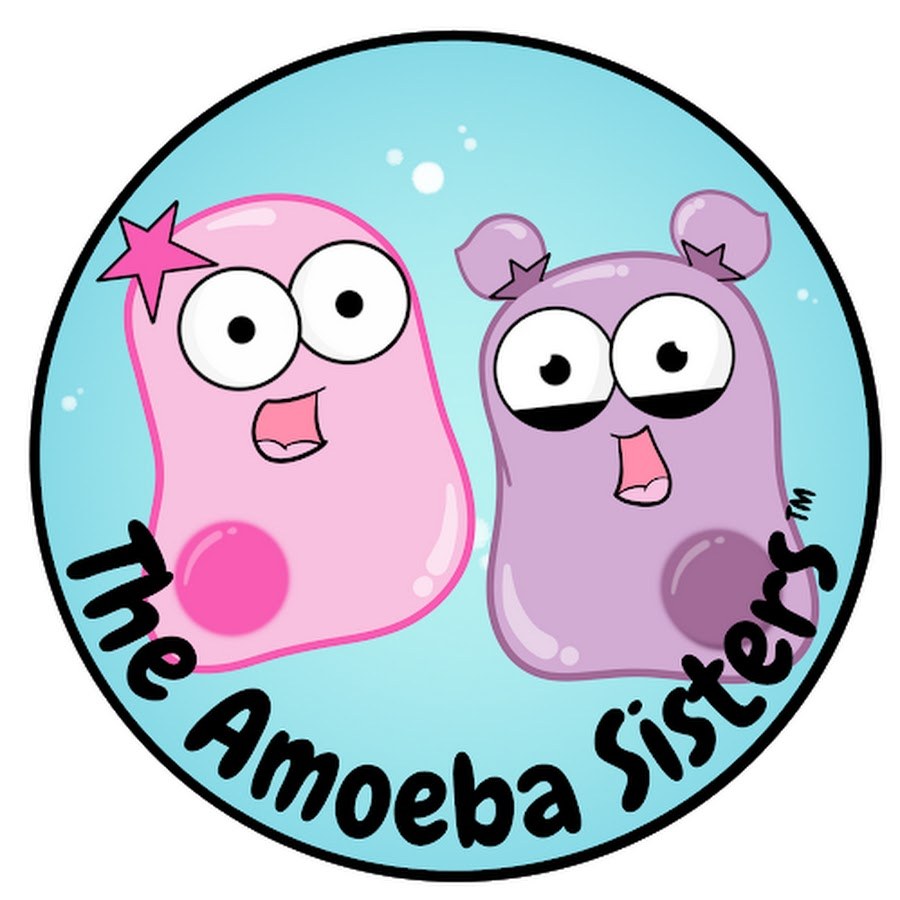 What Is The Cell Cycle Amoeba Sisters