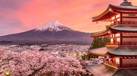 japonés - Grado 6 - Quizizz