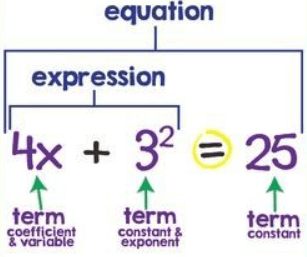 Understanding Expressions and Equations - Grade 8 - Quizizz