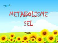 metabolisme - Kelas 7 - Kuis