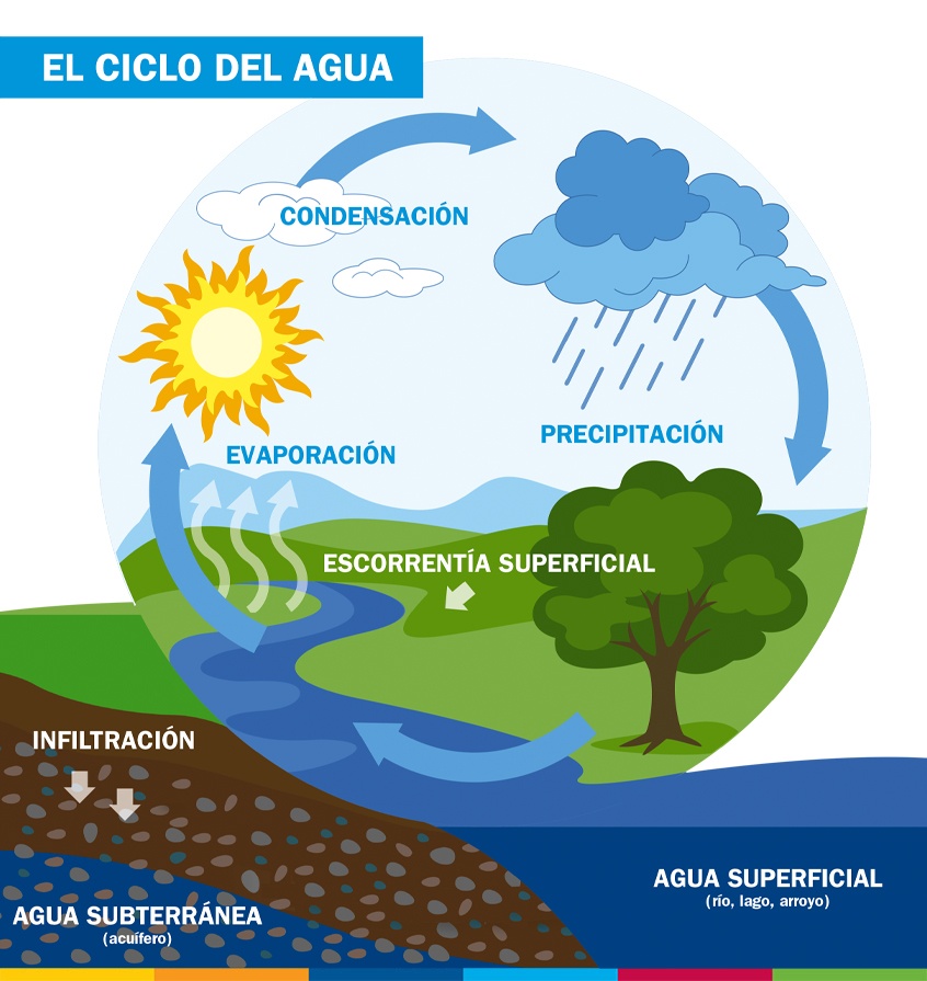 movimientos del agua del océano Tarjetas didácticas - Quizizz