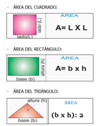 Área dos Quadriláteros - Série 4 - Questionário