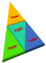 Angles & Triangles CBSE MCQ 