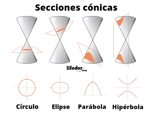 Secciones cónicas - Grado 10 - Quizizz