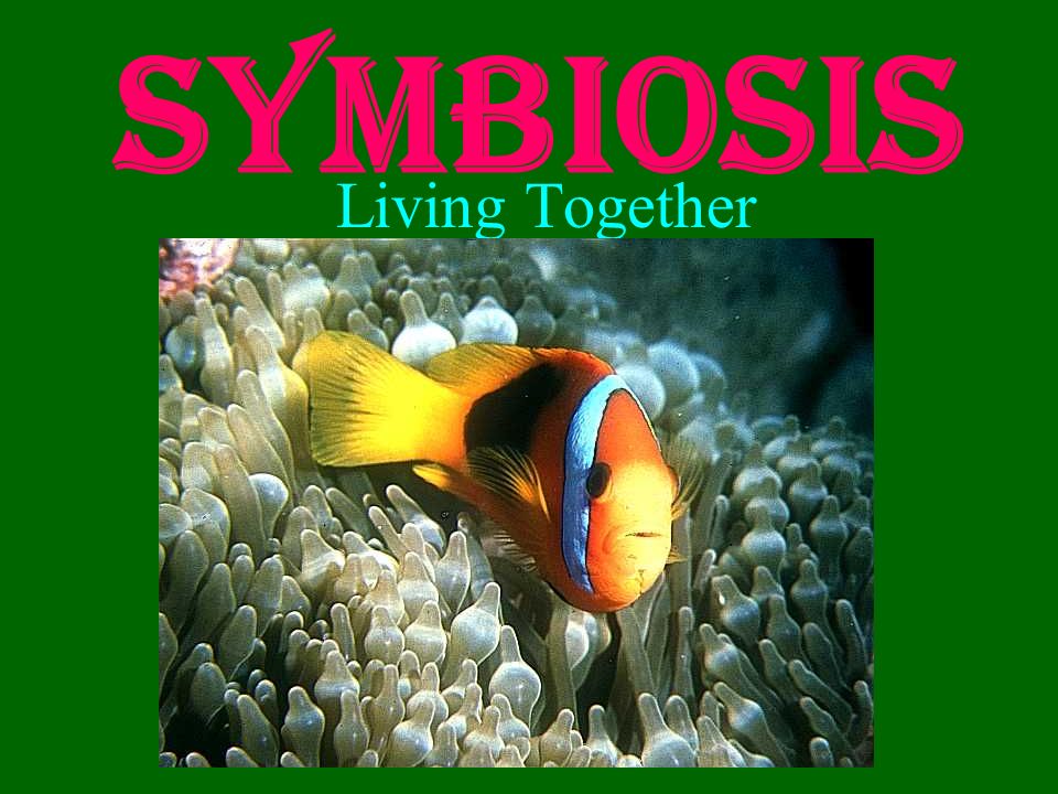 what is symbiosis in environmental science