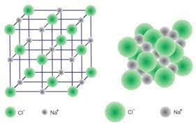 Các phần của bài phát biểu - Lớp 9 - Quizizz