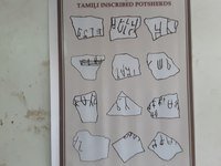 Tiếng Tamil - Lớp 10 - Quizizz