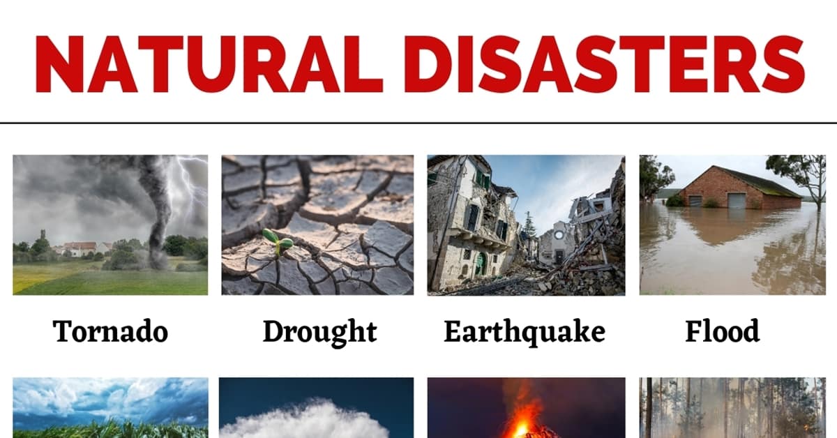 Natural Disasters. | Quizizz