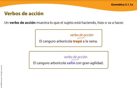 Verbos de acción - Grado 5 - Quizizz