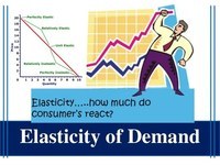 demand and price elasticity - Year 11 - Quizizz